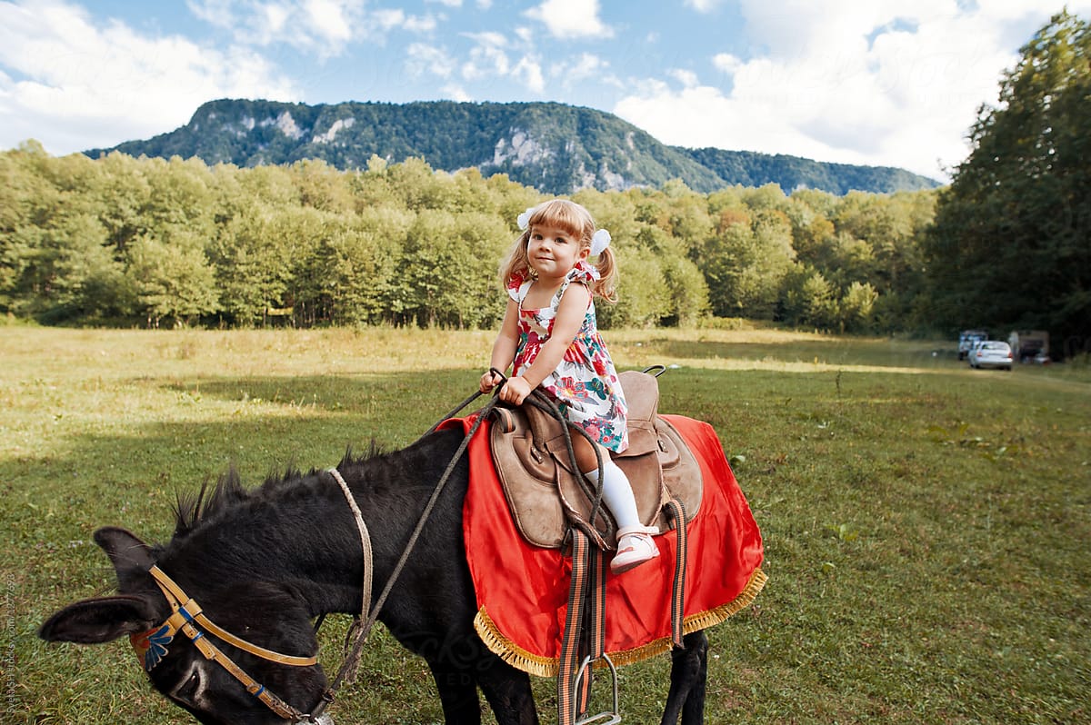 Little girl in the saddle riding on a donkey