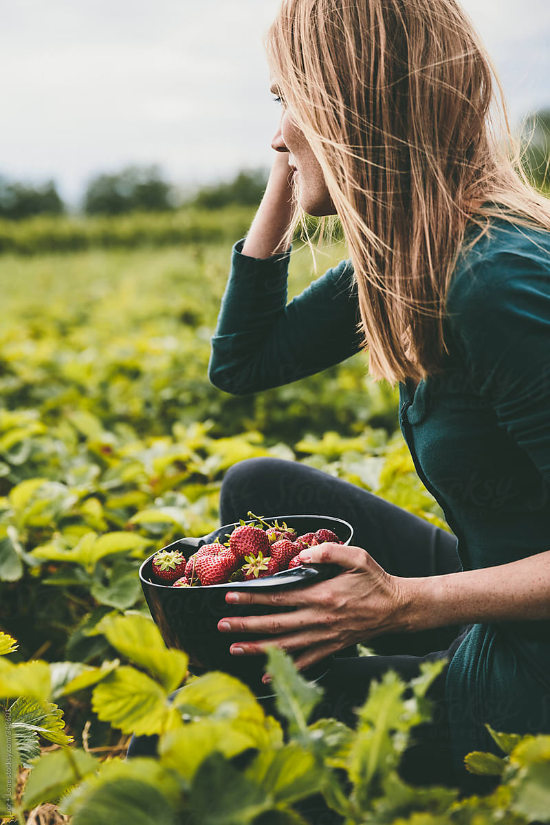 Woman picking strawberries in a field