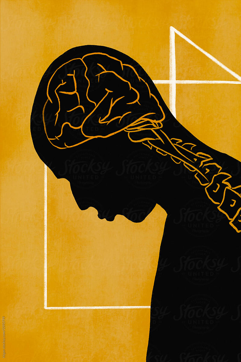 Brain and upper spine illustration.