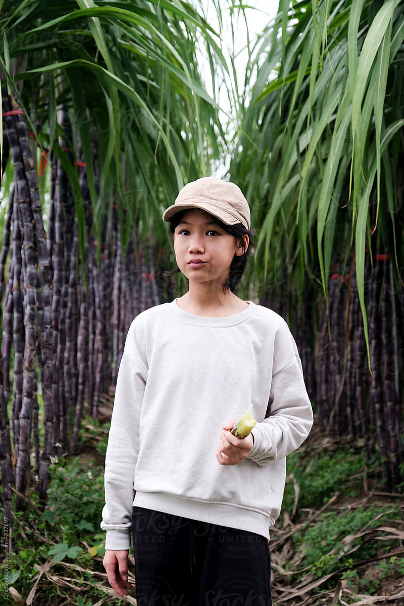 Asian little girl in sugar cane field