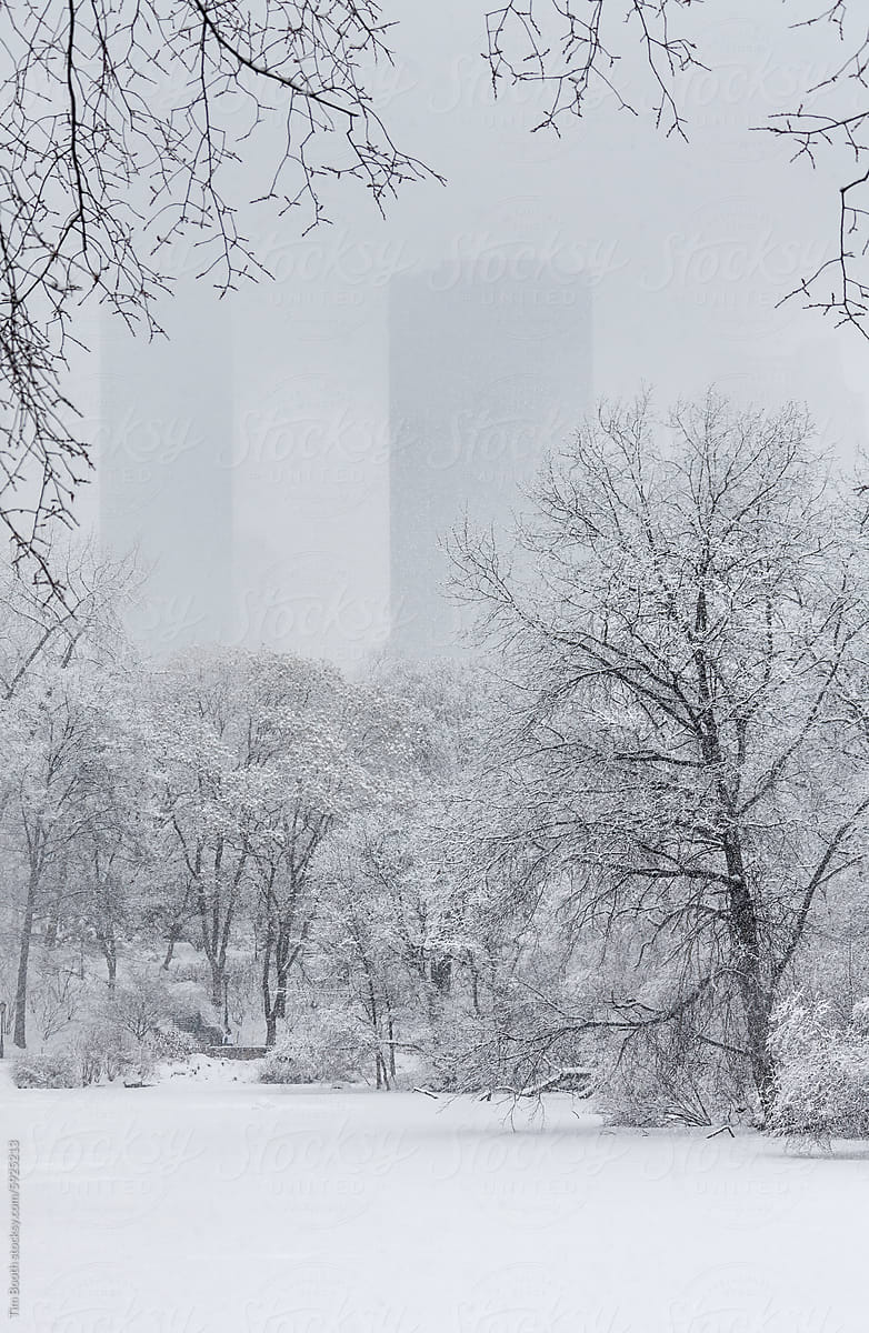 High rise in the snow from Central Park