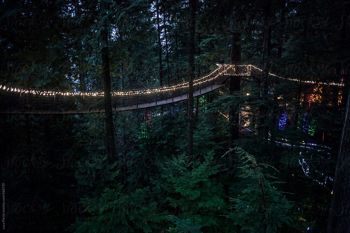 Suspension bridge at dusk, Canada