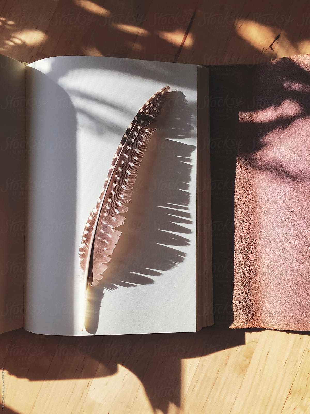 A feather sits on a blank page in a leather journal