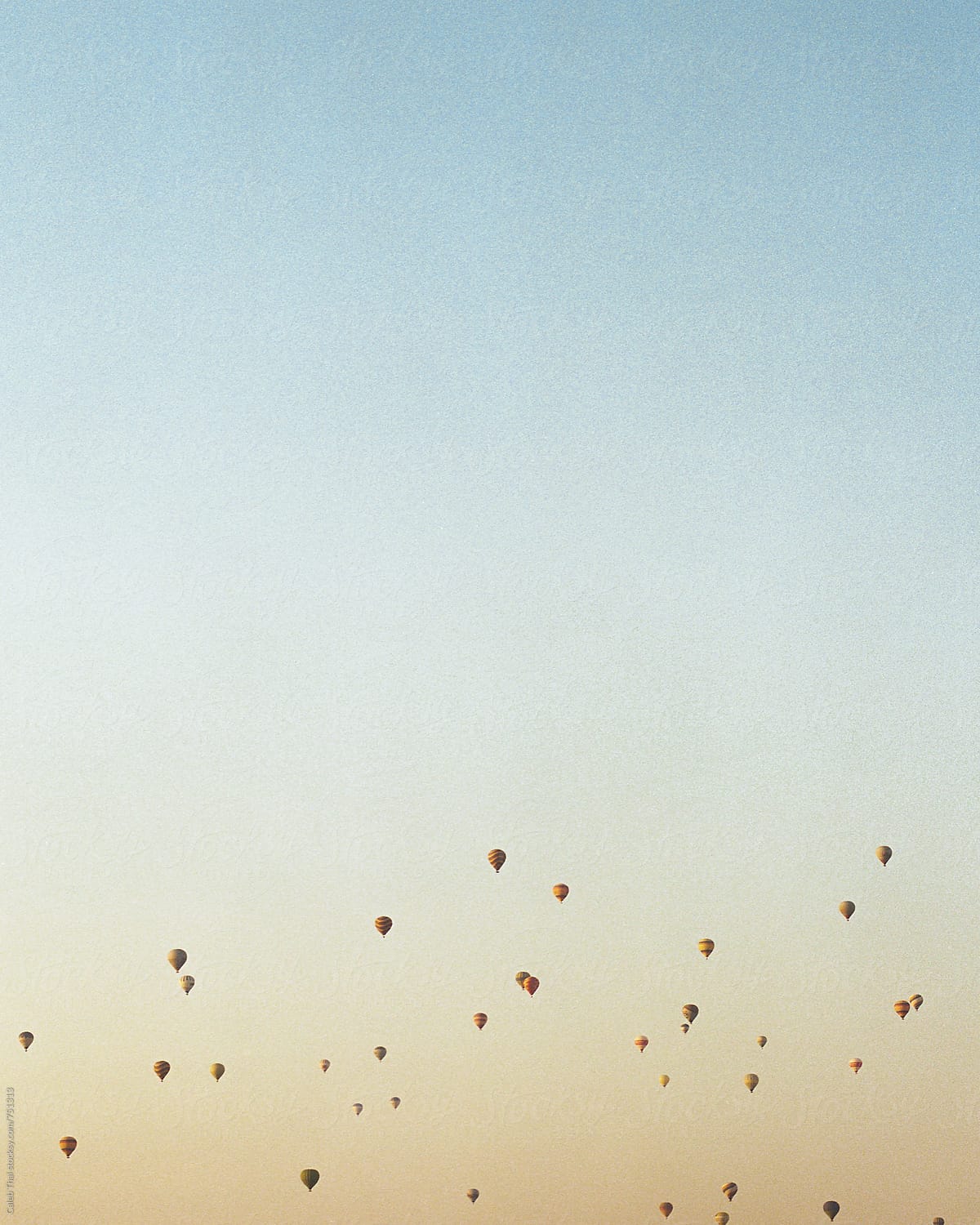 Sky of Hot Air Balloons