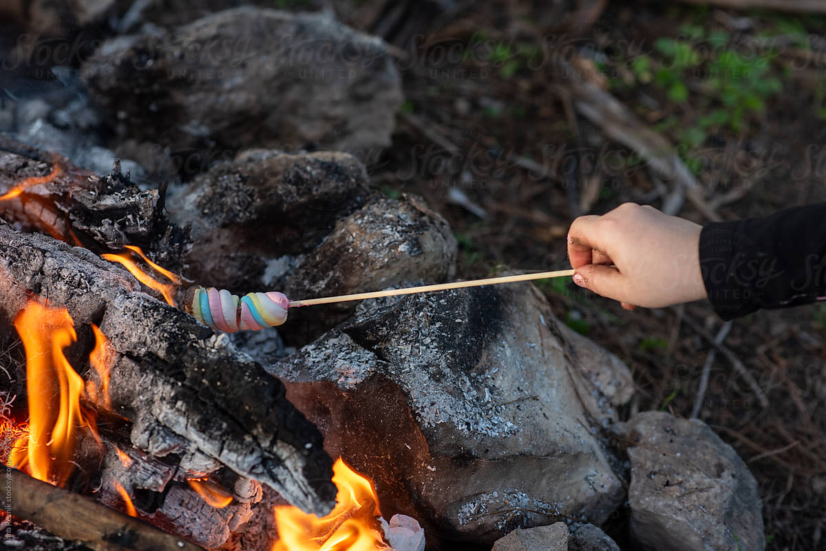 Kid Roasting Colorful Marshmallows At Campfire.
