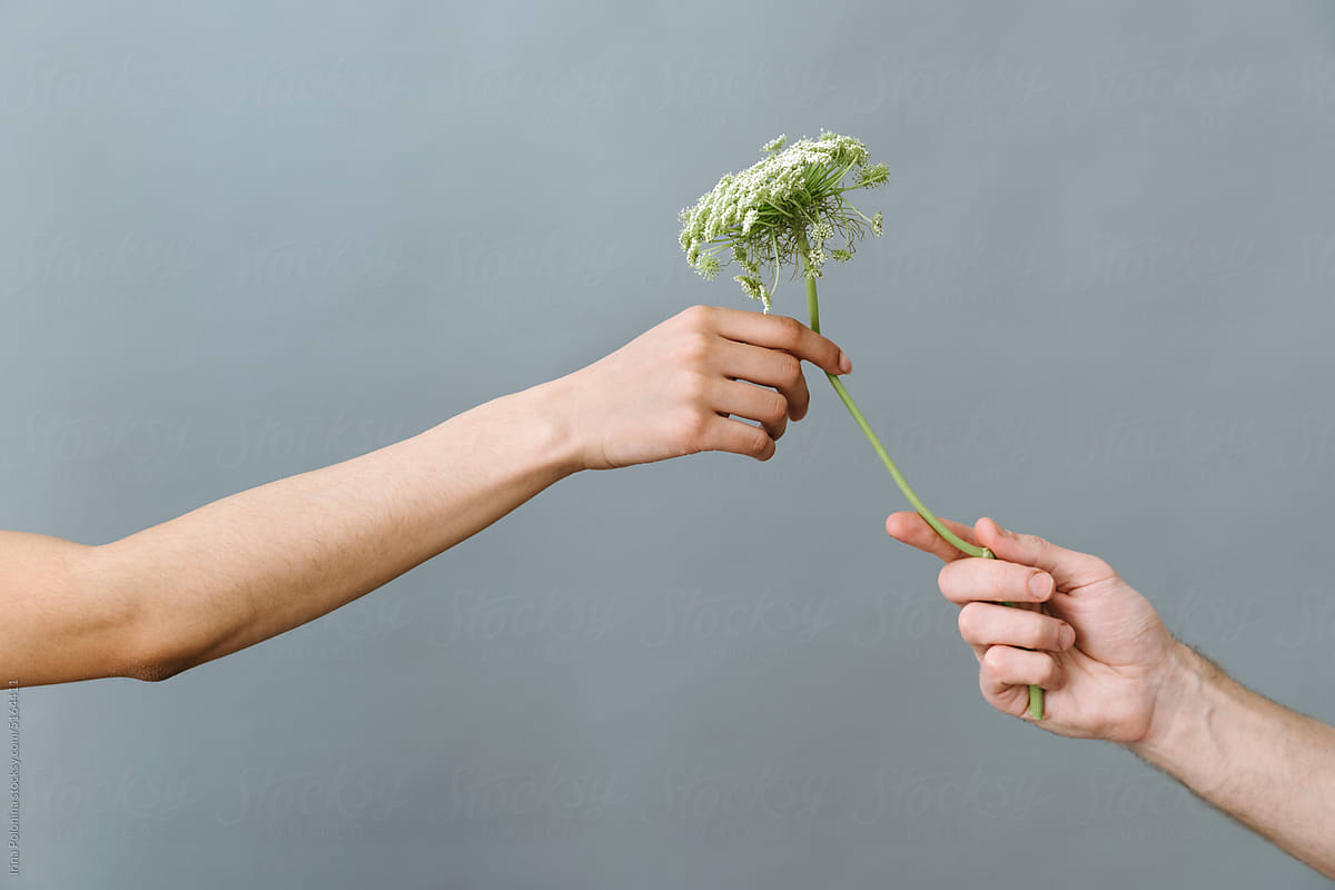 Faceless people pass flower to each other.