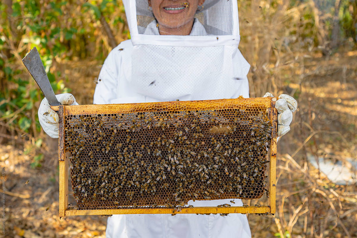Beekeeper holding a hive.