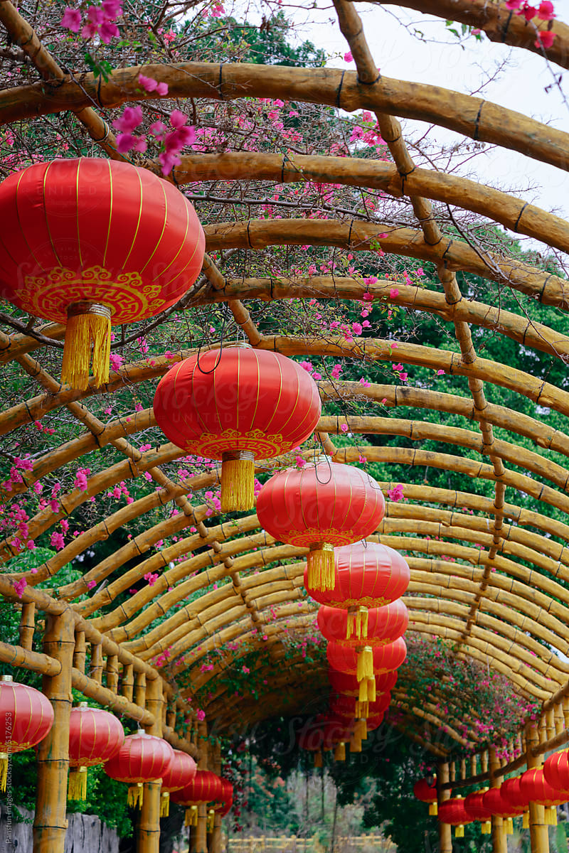 Chinese lunar new year lantern decoration