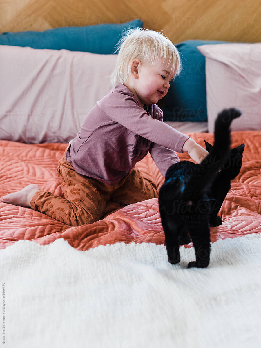 Toddler reaching out to cat