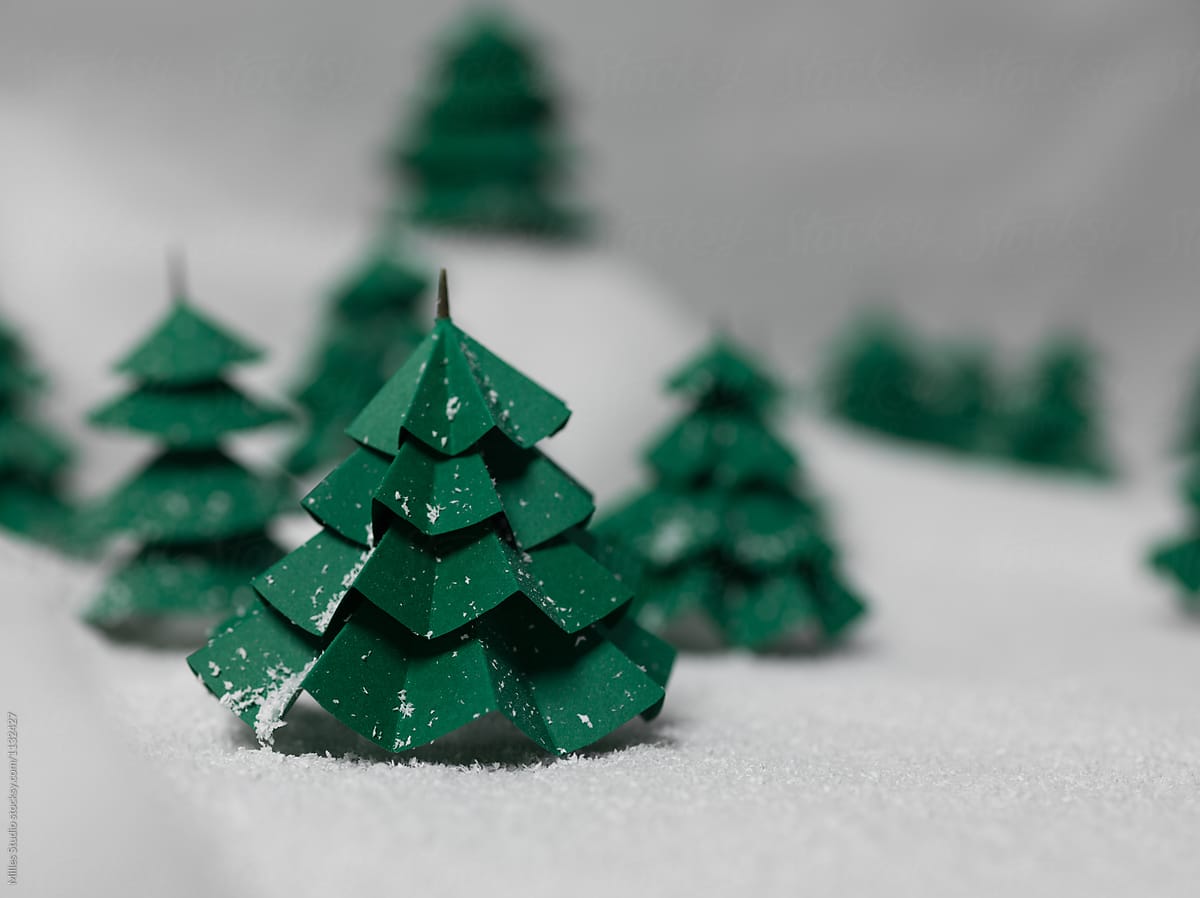  Christmas Tree Farm By Stocksy Contributor Milles Studio Stocksy