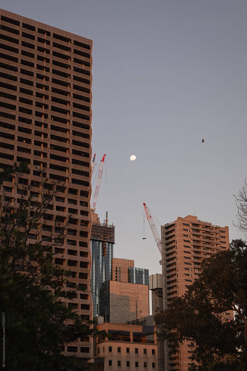 Cranes in the dusk sky over Melbourne CBD