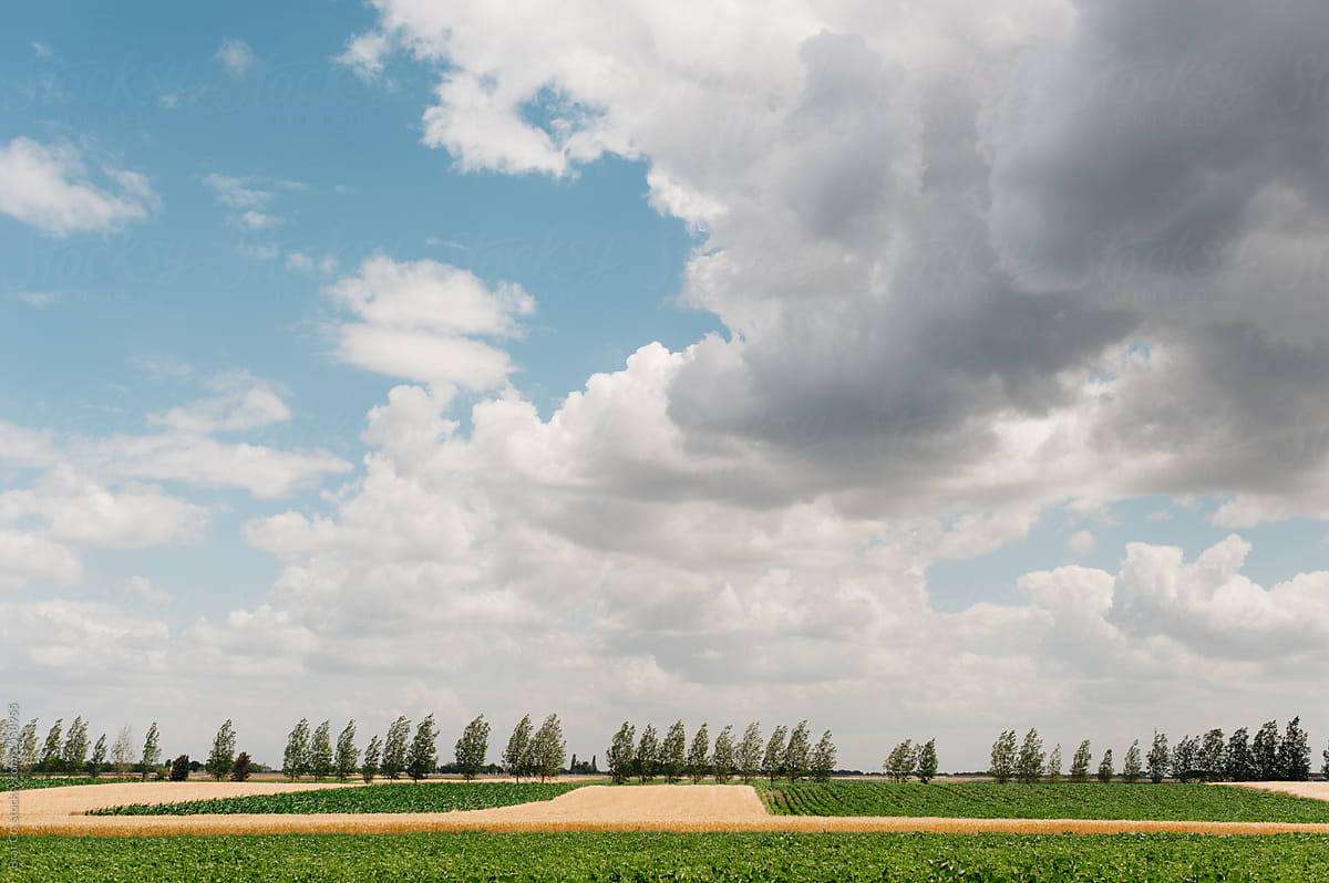 Farm field with clouds