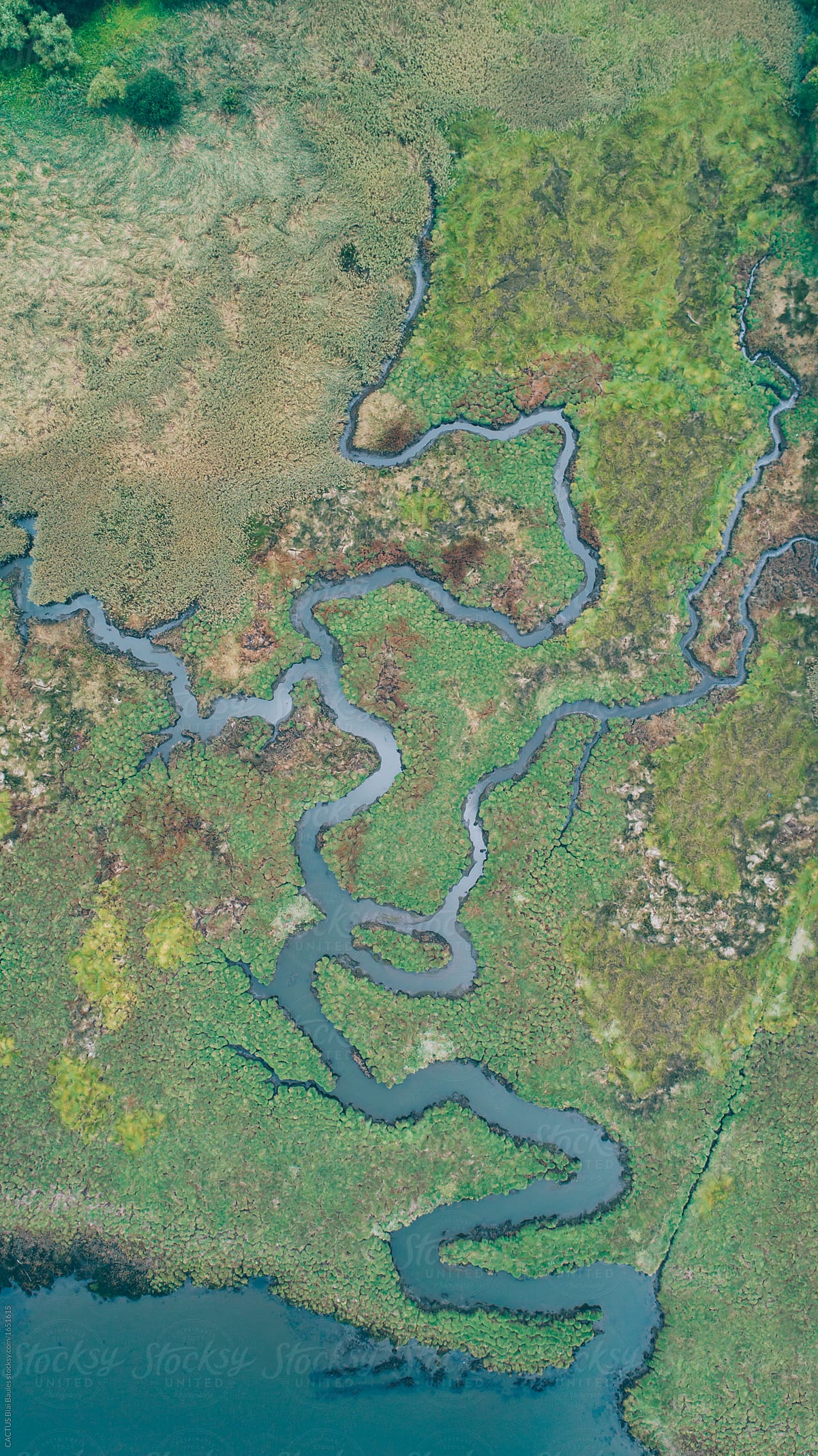 River aerial view