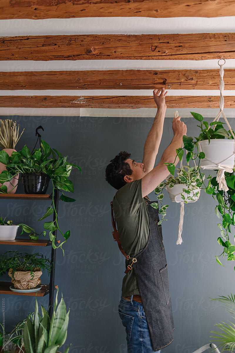 Man Hanging Plants From The Ceiling Surrounded By Nature