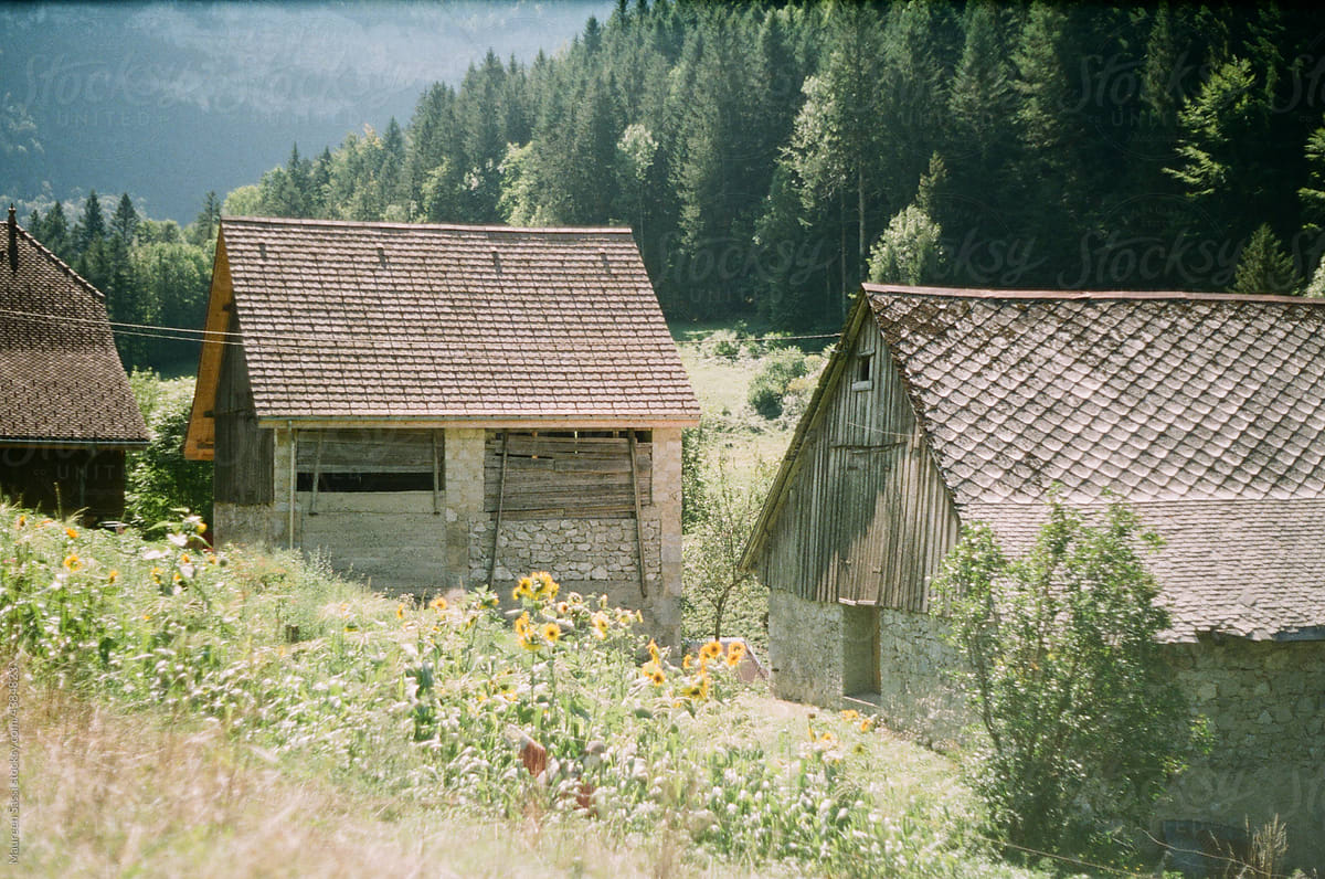 Wood Barn in the Countryside