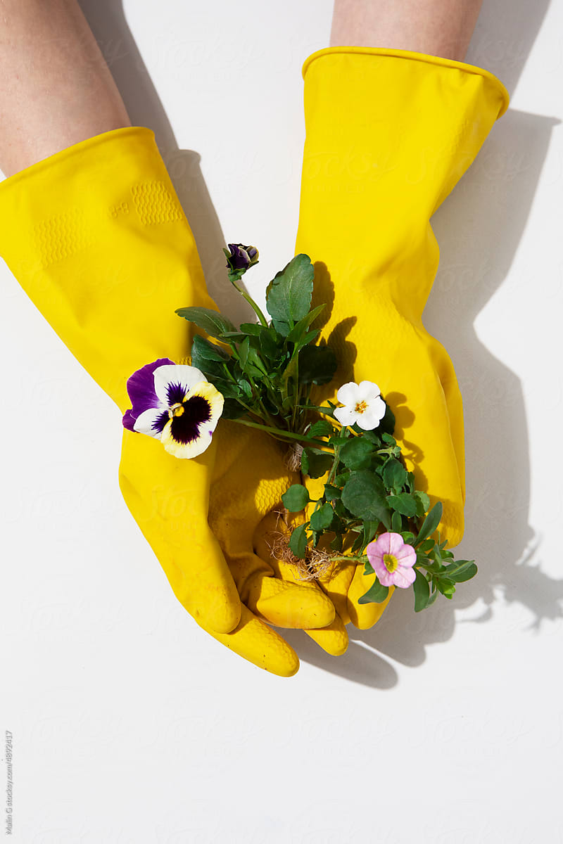 Hands holding a bunch of flowers