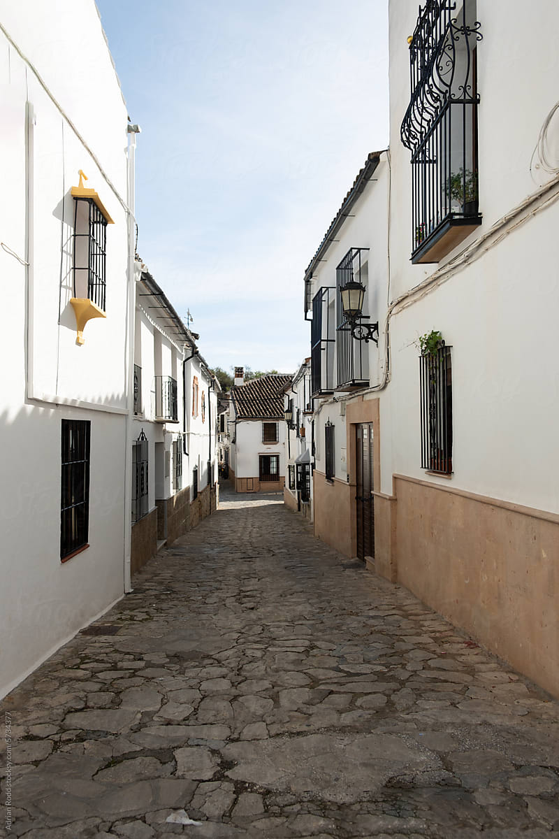 Traditional alley showing details of local architecture in Andalucia