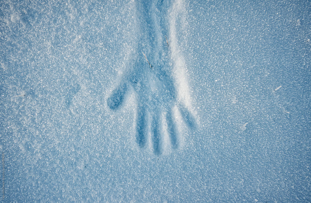 Human Hand Silhouette Winter Snow Texture