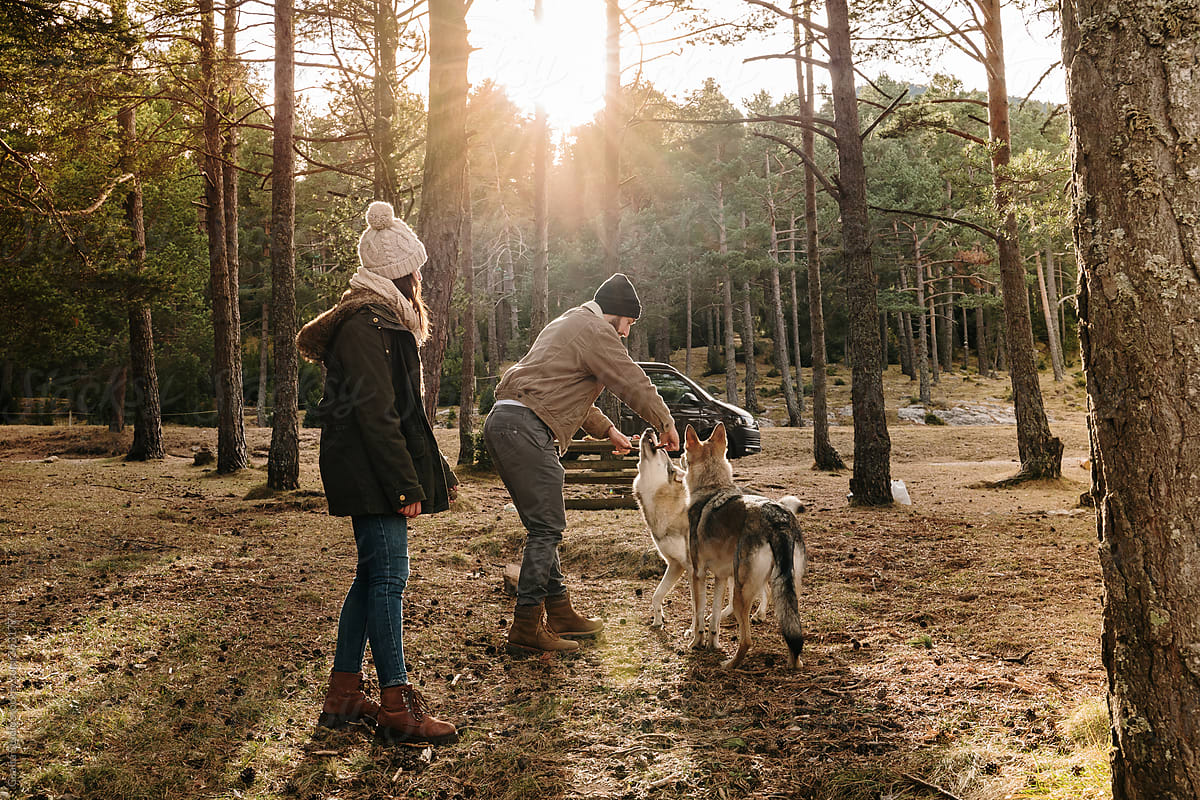 Young couple playing with wolf dogs in the forest