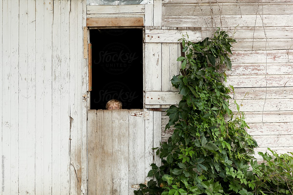 boy looks over a barn door