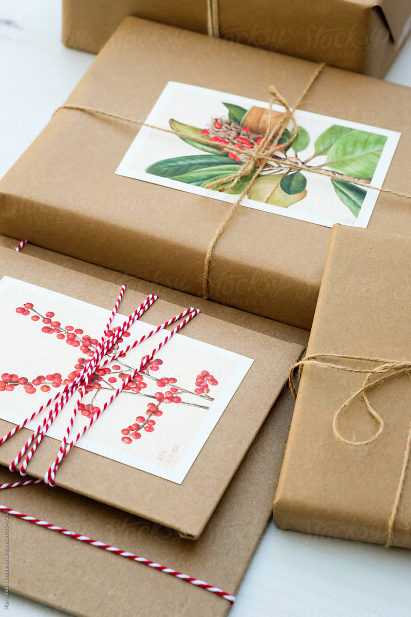 Botanical Prints and Christmas Wrap