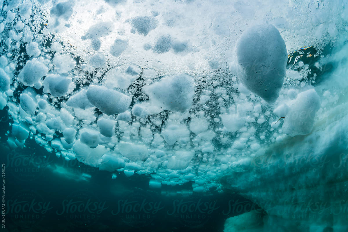 Drift ice, underwater view