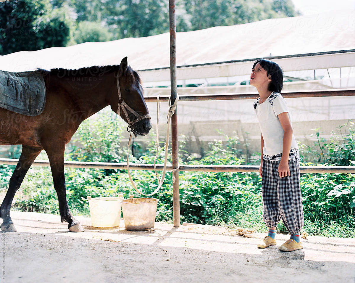 Cute Asian little girl playing with horses on the horse farm, shooting with a 120 film camera