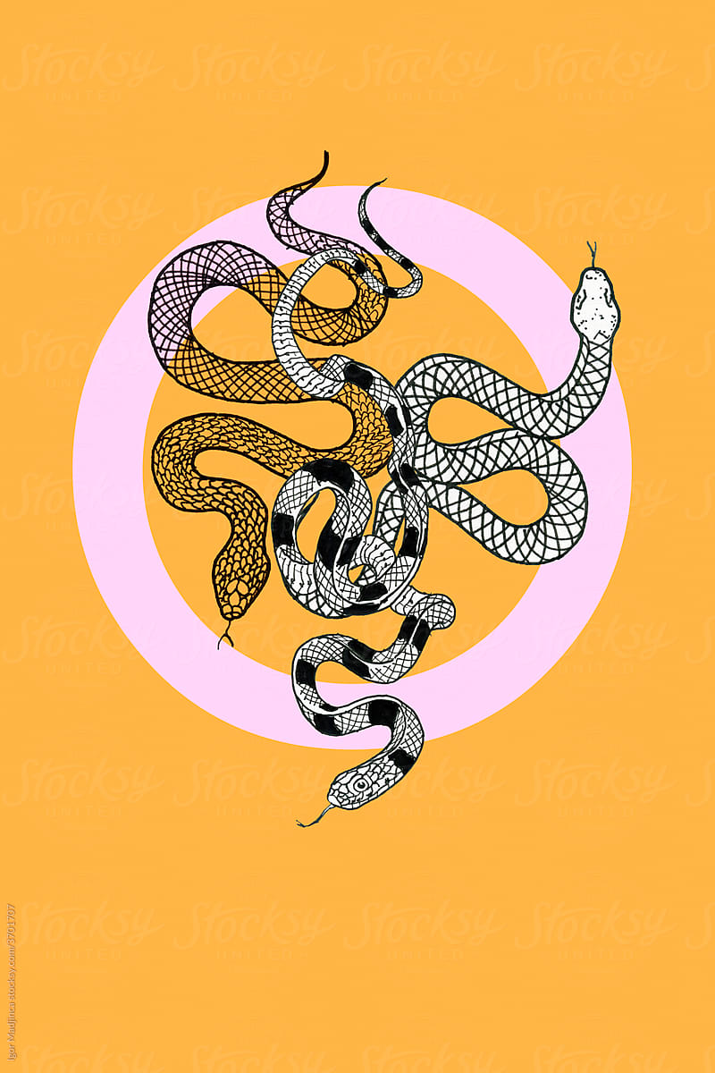 a drawing of a snake in a circle on a yellow background