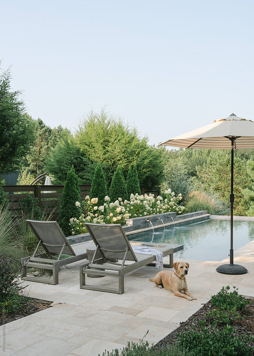 Luxury backyard pool