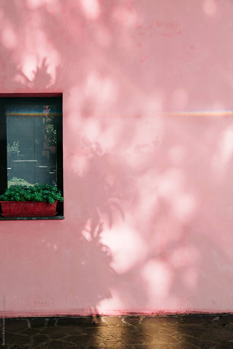 Window on a pink wet wall with a rainbow reflection