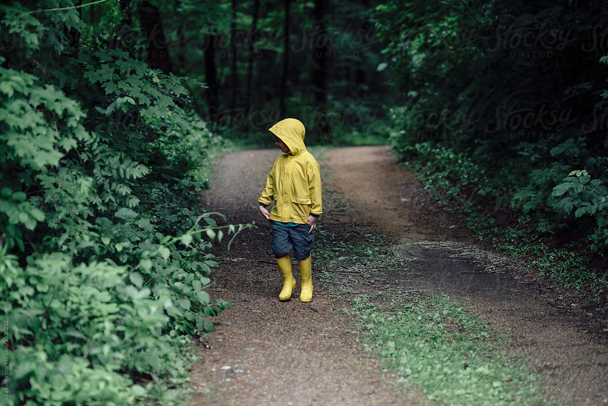 little boy on walk in a forest