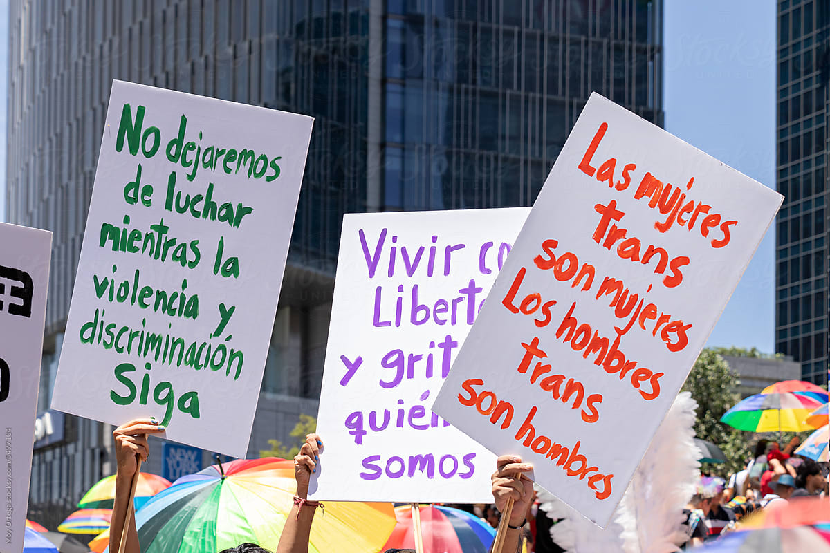 Protest Signs At The LGBT+ March In Mexico City