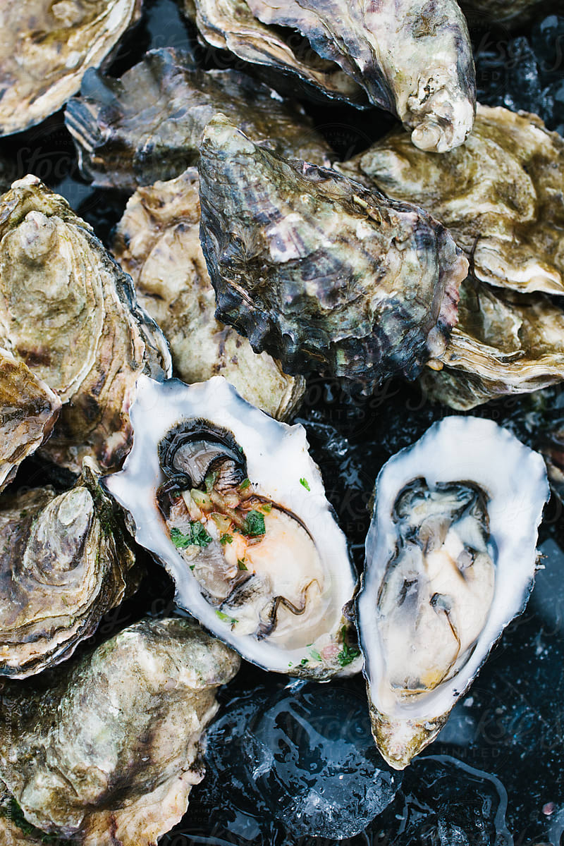 Freshly shucked oysters, Hog Island Oyster Company, California