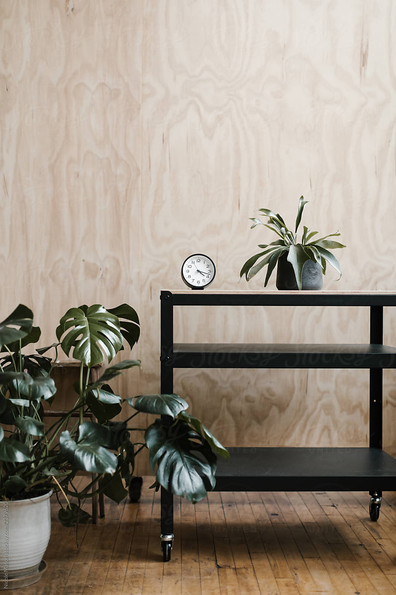 utility cart with plant and analog clock against plywood backdrop wall