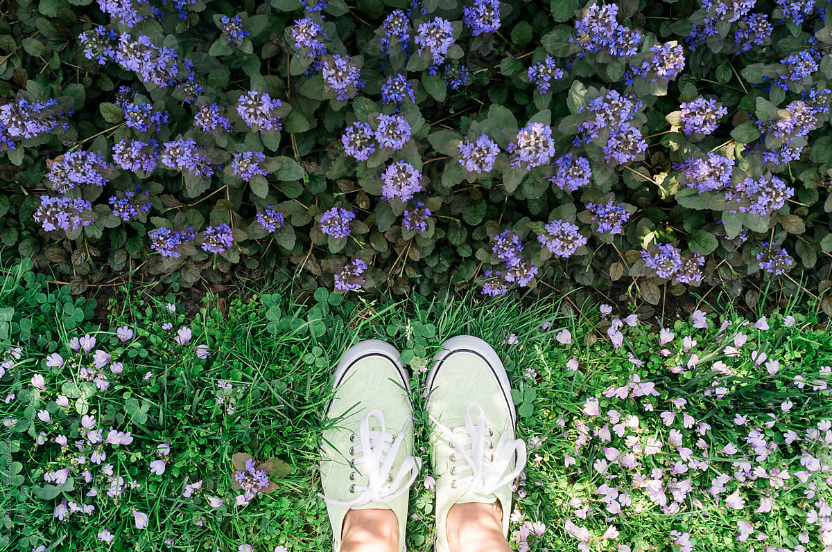 Two feet wearing green shoes in front of purple flowers.