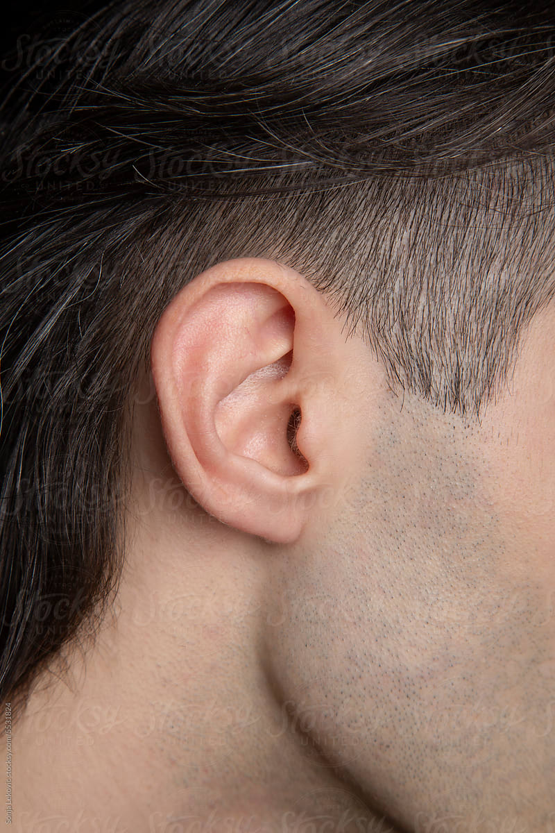 closeup of a male undercut hairstyle and ear
