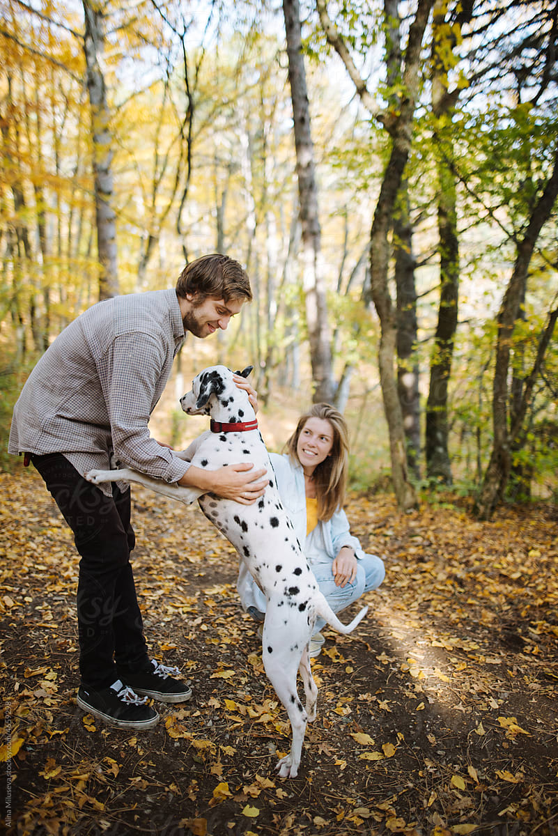 Happy couple patting dog together in autumn woodland