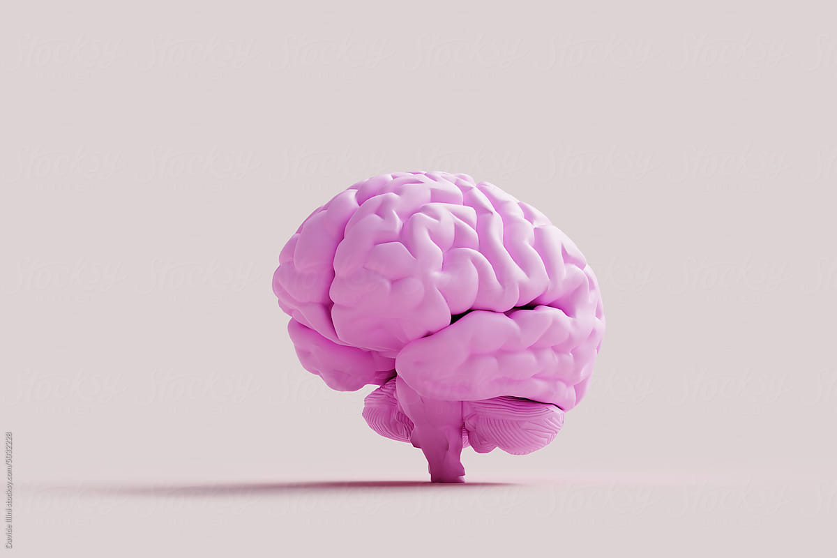 Human brain Anatomical Model Pattern on pink background. 3d rendering