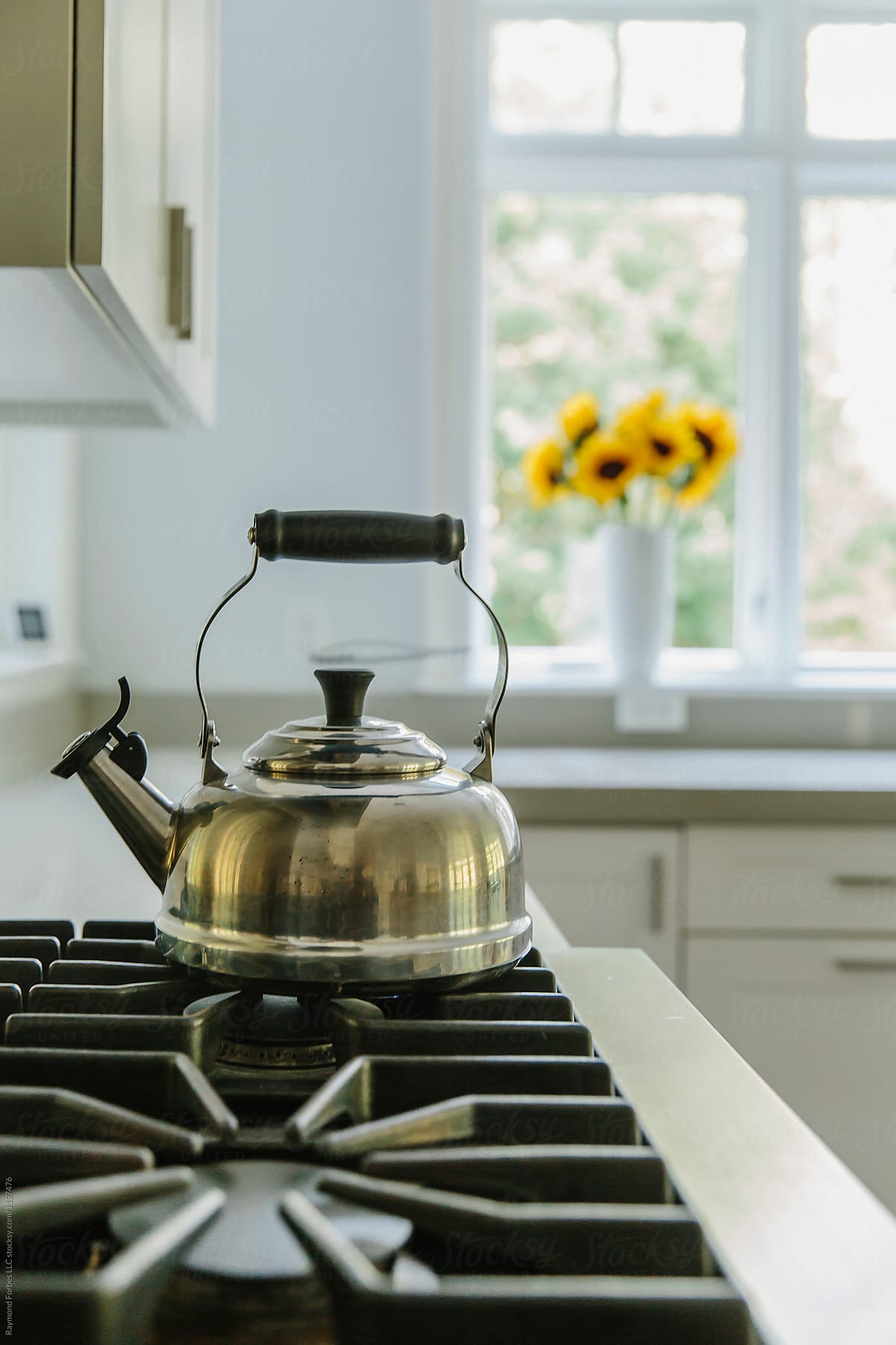 Tea kettle on cooktop