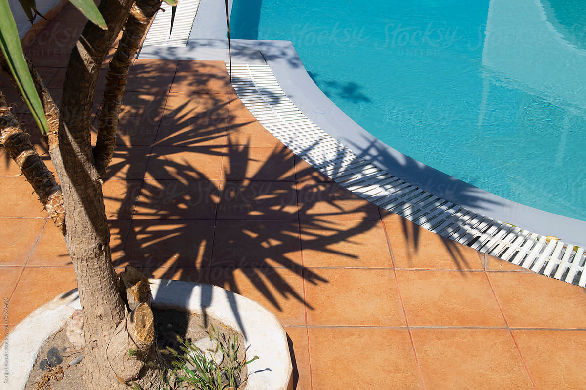 palm tree shadow on orange background and a turquoise swimming pool