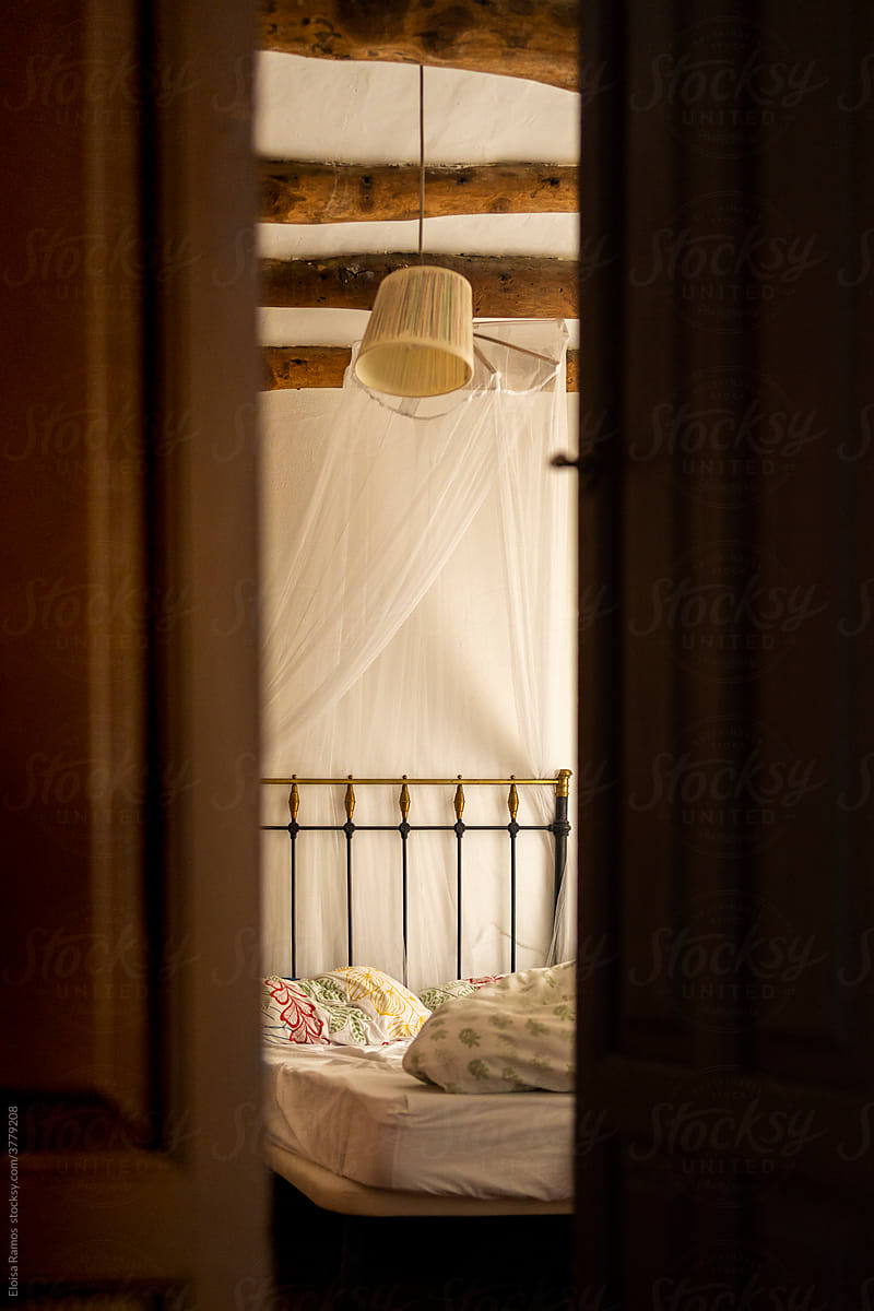 Boho bedroom with a mosquito net