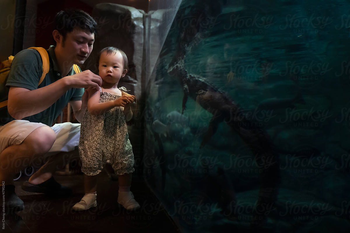 Asian baby visiting the aquarium with father