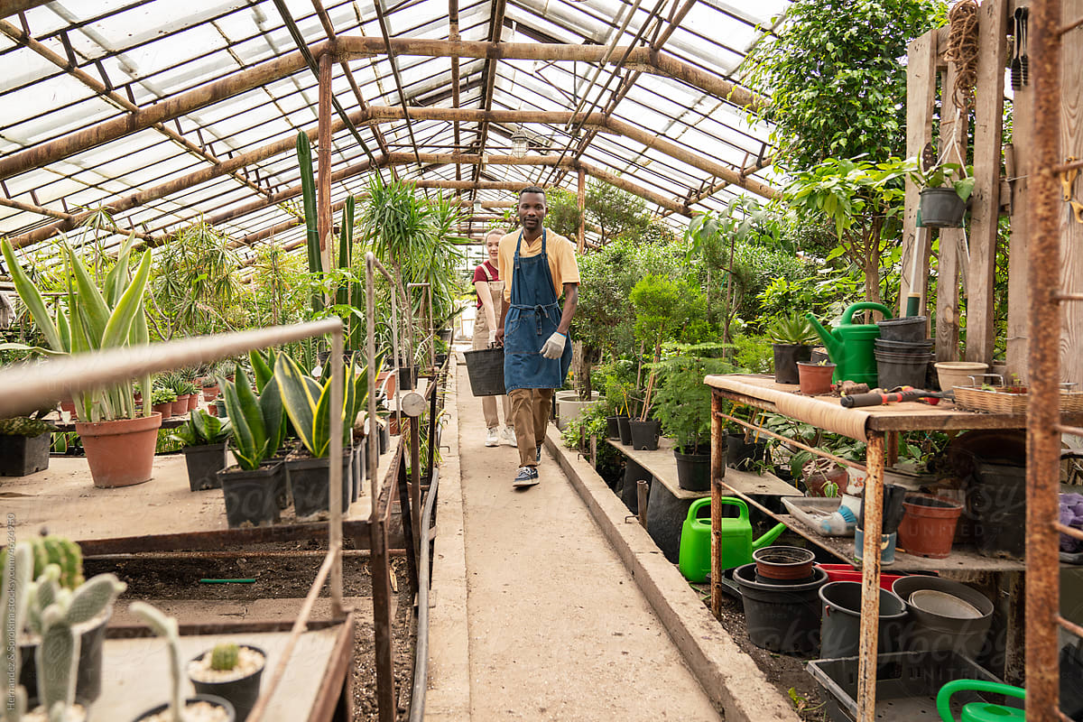 People Working At Exotic Plants Hothouse