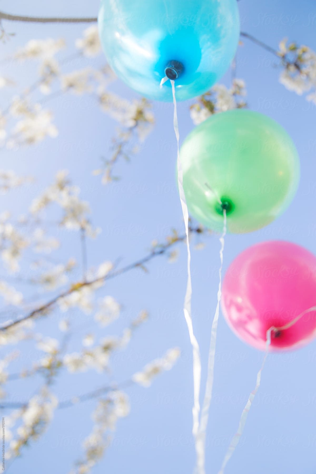 Three Balloons with Blossoms...