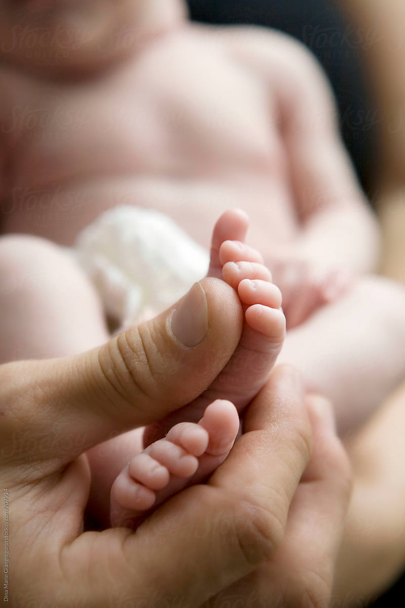 Baby Feet in Father\'s Hand