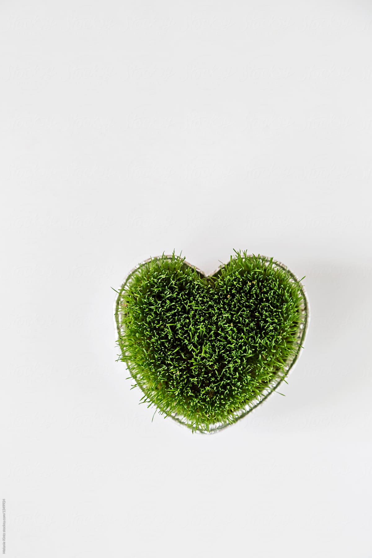 Heart of grass on white background