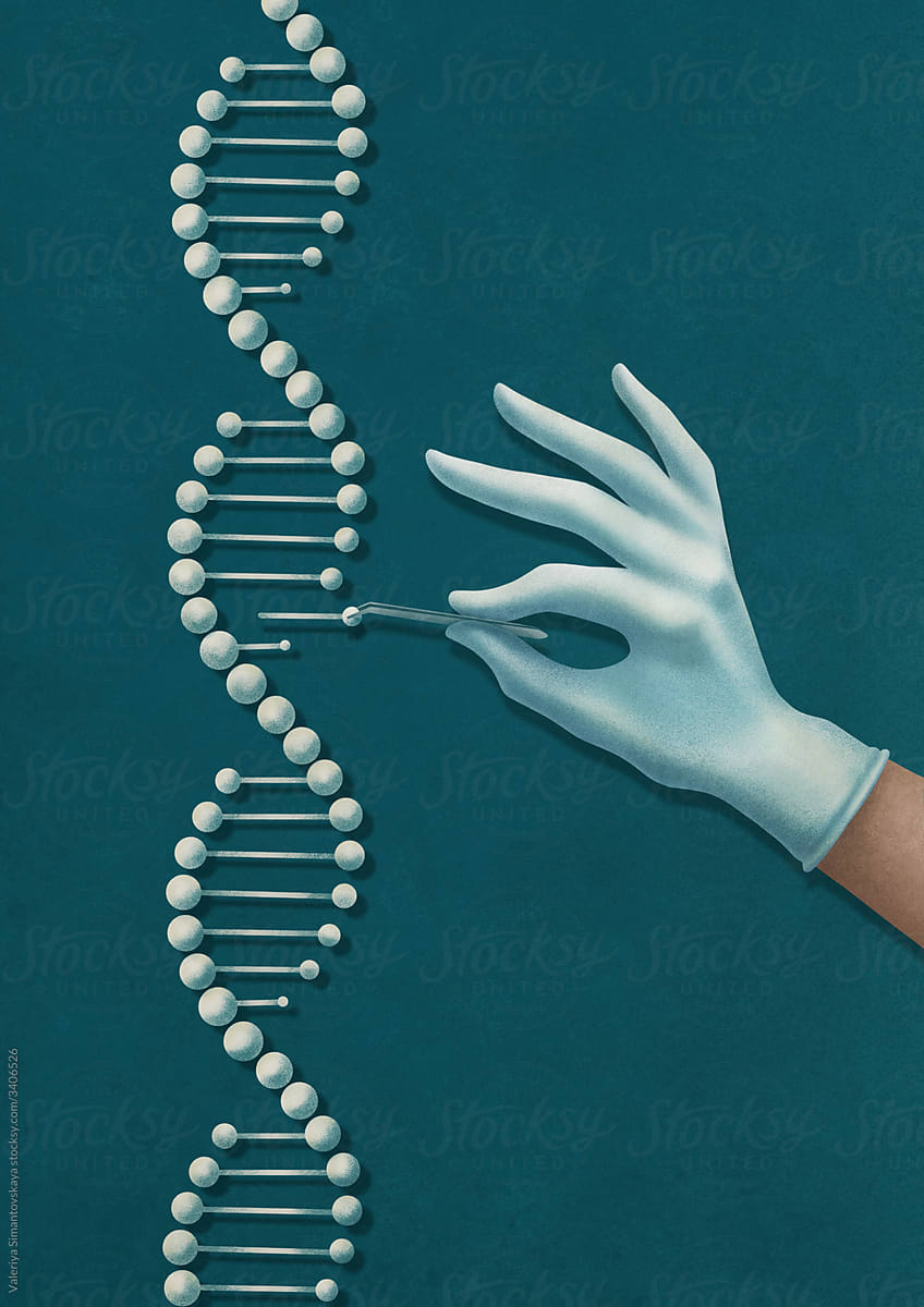 the scientist\'s hand examines the DNA molecule
