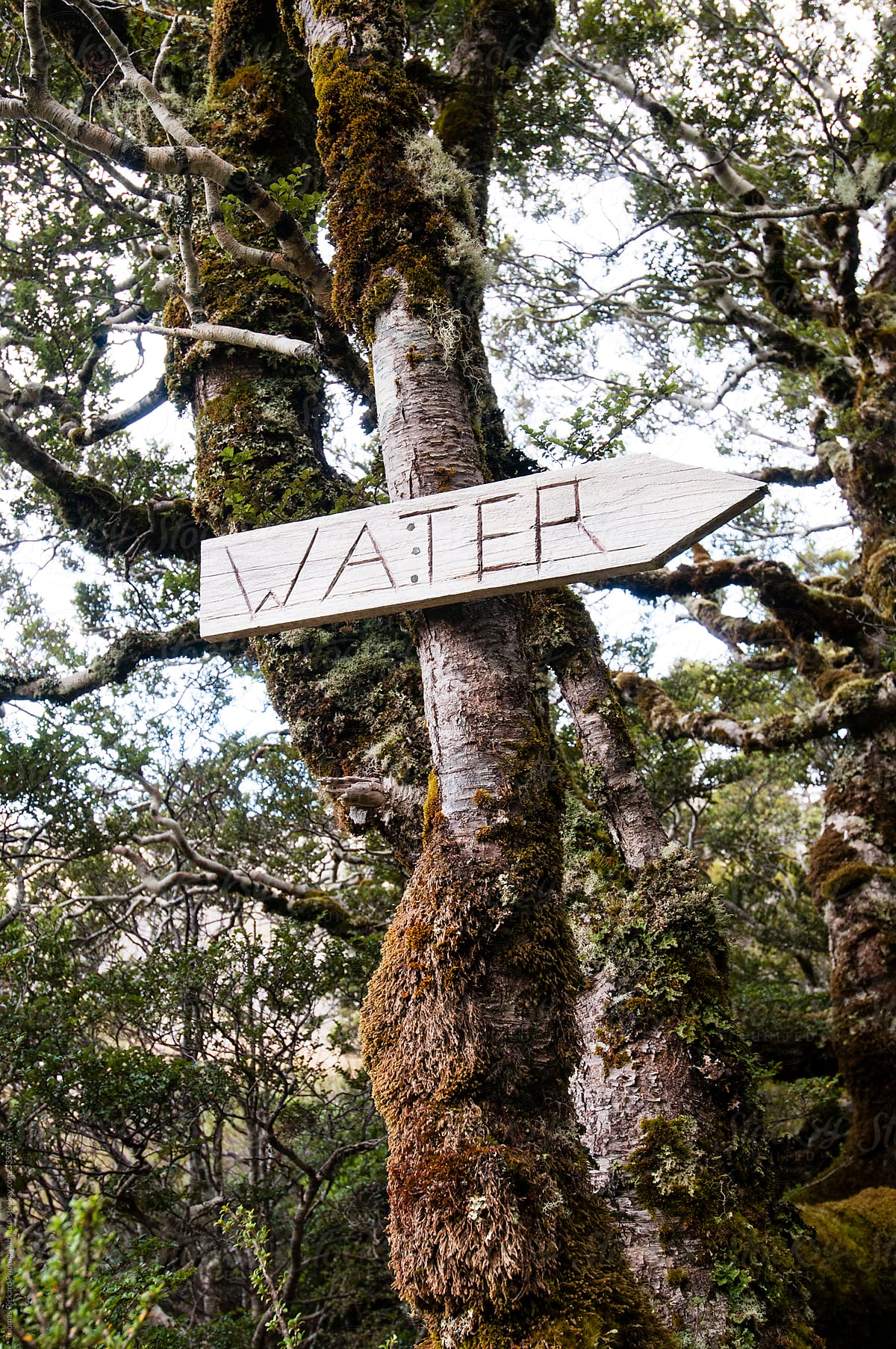 Hand carved water sign, Kahurangi National Park, New Zealand.