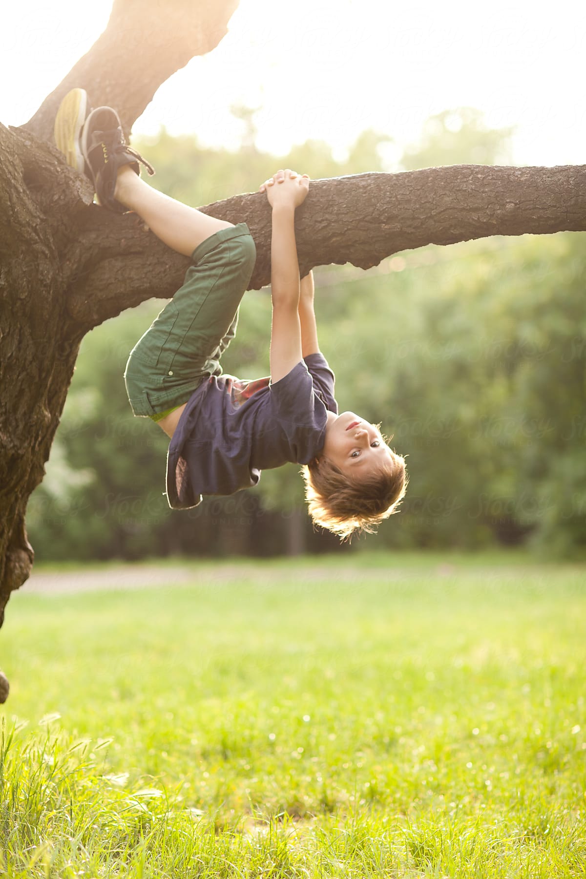 Boy Playing On A Tree. | Stocksy United