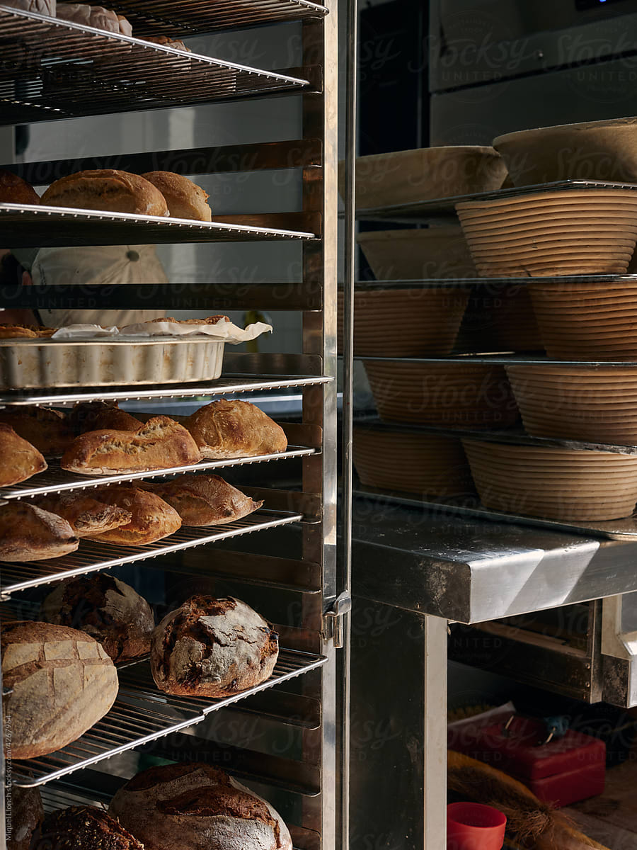 Bakery workshop corner with diversity of breads